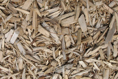 biomass boilers Whitenap